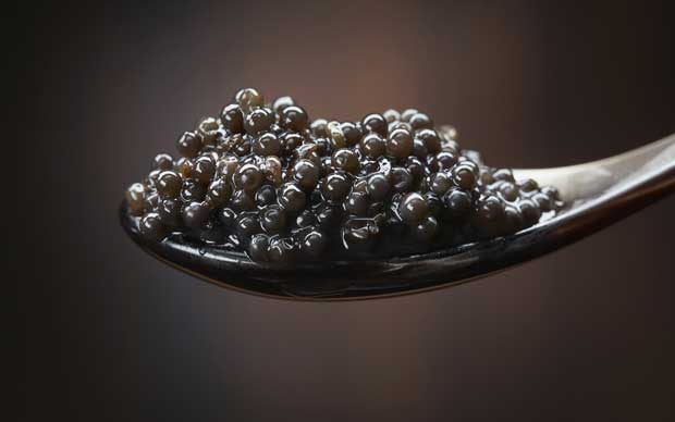 خاویار Caviar