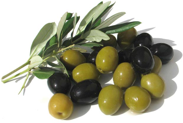 زیتون Olive