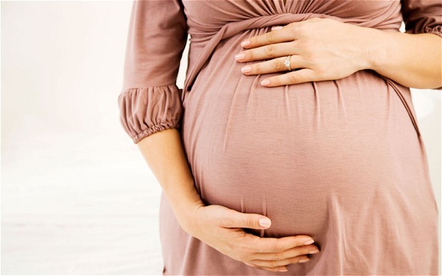 حاملگی Pregnancy