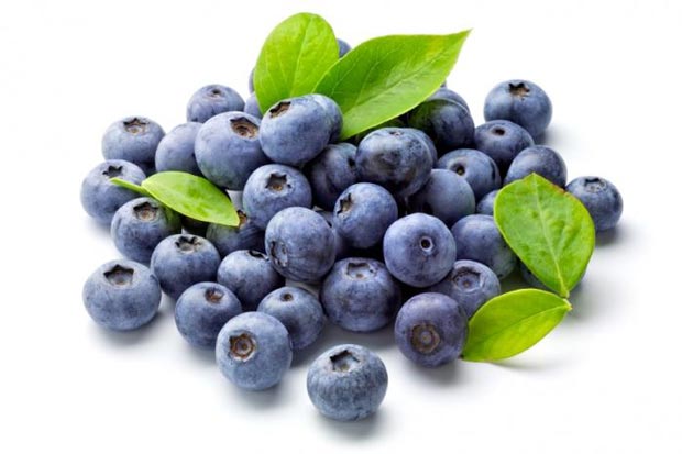 زغال اخته blueberries