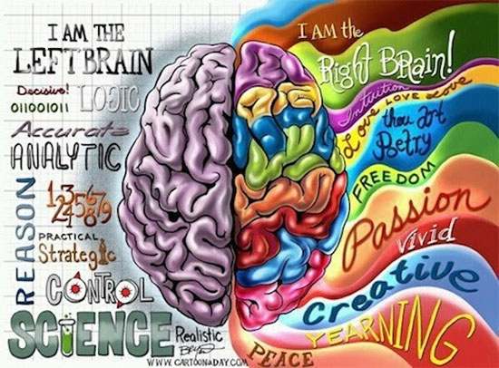 تست خودشناسی؛ نیمکره راست مغز شما فعال تر است یا چپ؟