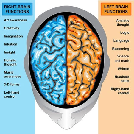 تست خودشناسی؛ نیمکره راست مغز شما فعال تر است یا چپ؟