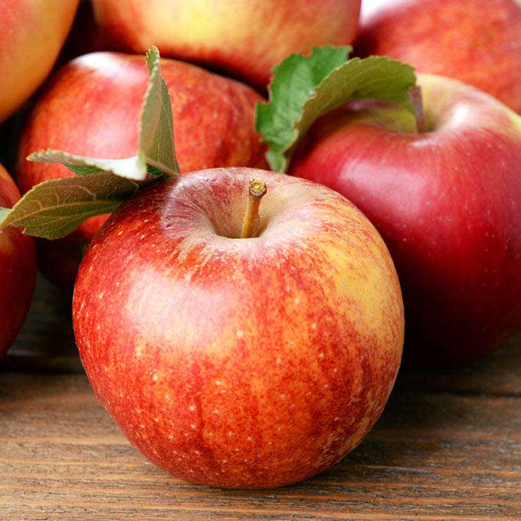 غذاهای ضد سرطان,برای پیشگیری از سرطان چه بخوریم,سیب