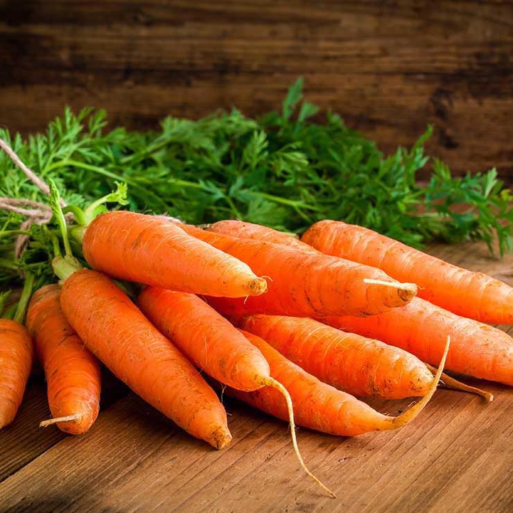 غذاهای ضد سرطان,برای پیشگیری از سرطان چه بخوریم,هویج